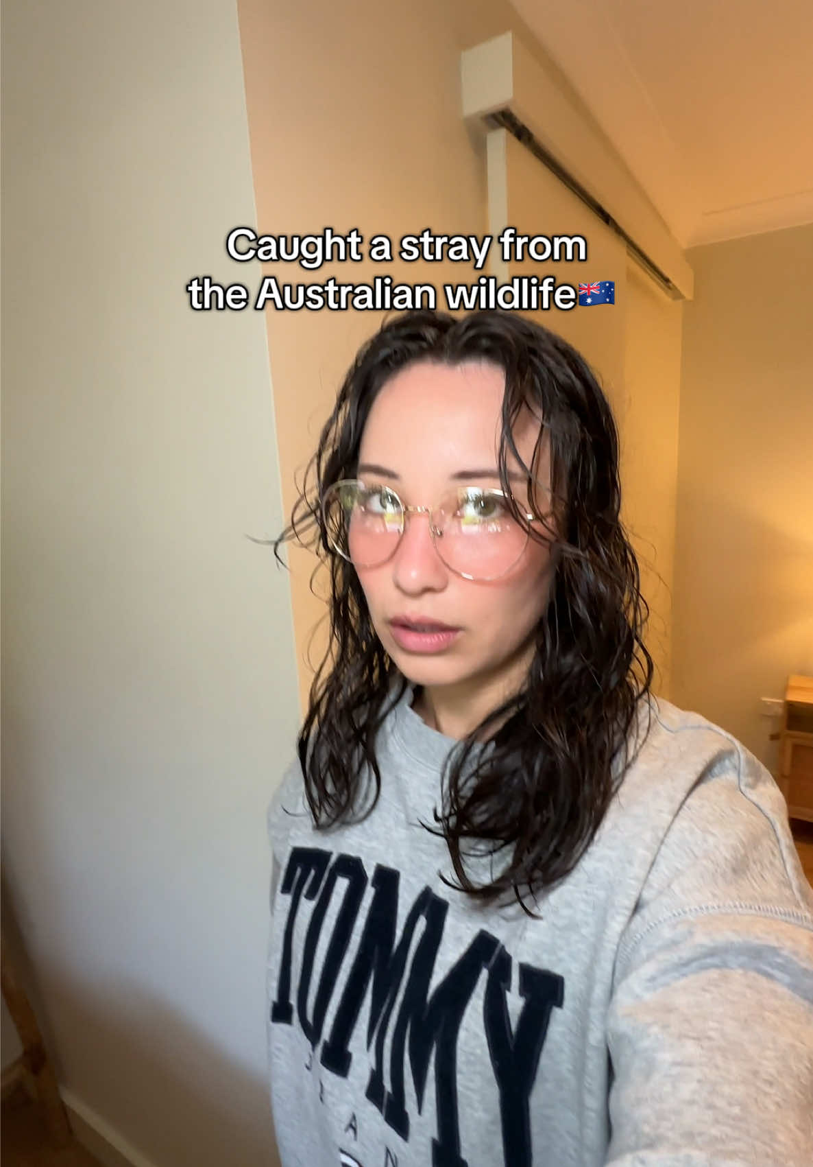 A flock of exotic Australian birds versus my poor hoodie, and the birds won easily