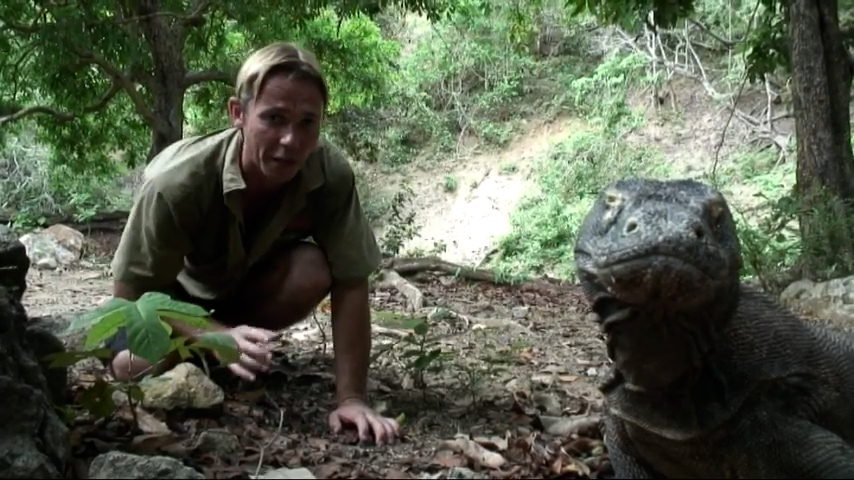 World's largest lizard | Komodo dragon vs the wild