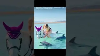 swimming with horses and dolphins in egypt 🌊🌊🐎🐬🐬🐬