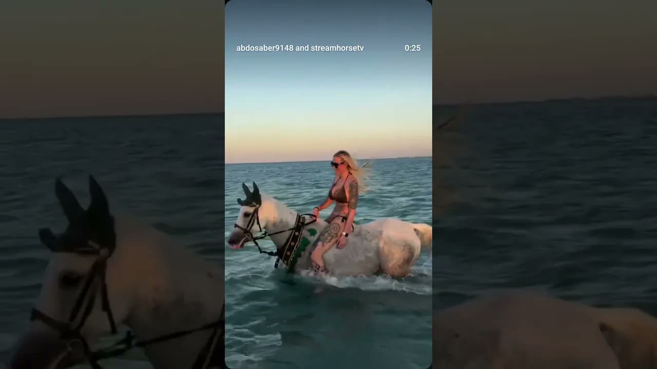 Let's go! 🌊🌊🐎