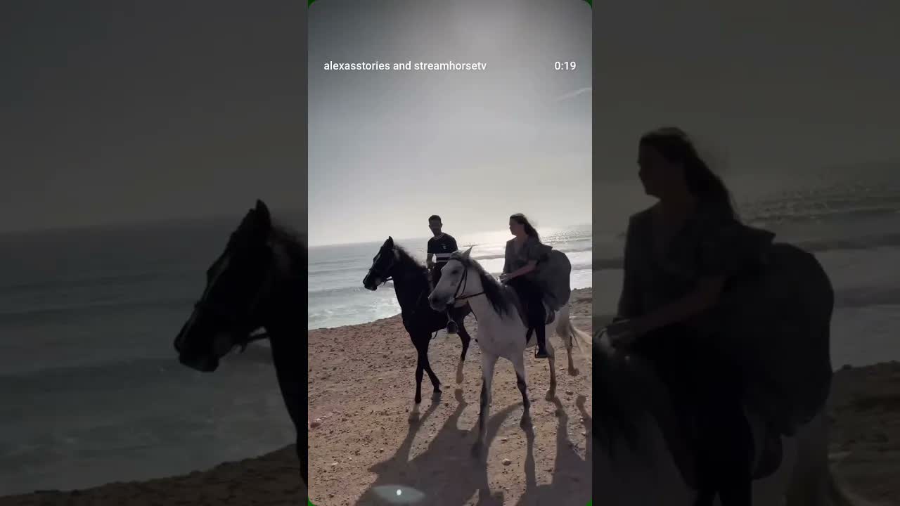 Just horsie vibes