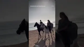 Just horsie vibes