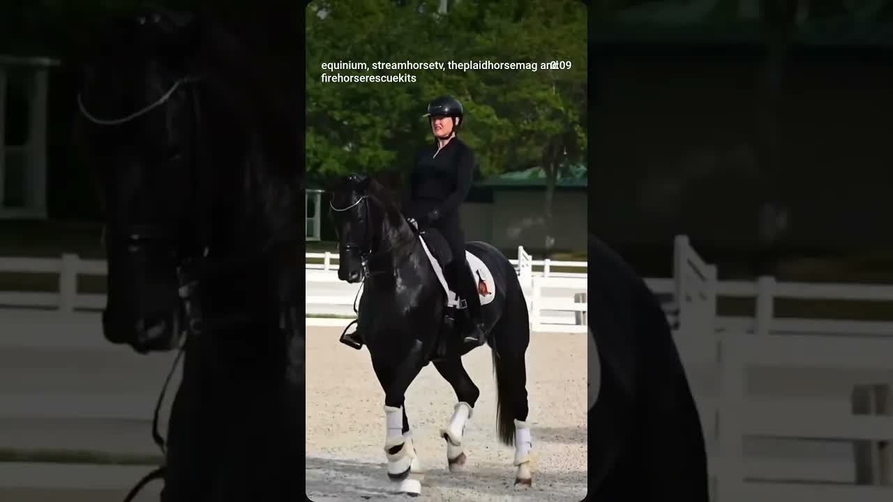 lovely show and experience for dressage lovers at this weekend’s Gold Coast Summer Solstice ☀️🐎
