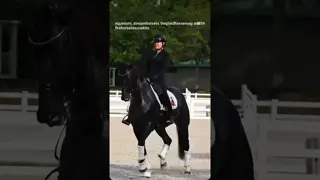 lovely show and experience for dressage lovers at this weekend’s Gold Coast Summer Solstice ☀️🐎