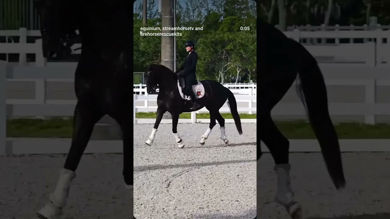 Rebalance, collect, power-up 💥 💪 🐎 Mynanke A (Hennessy x Ferro) and Amy Speck-Kern of Excel Dressage