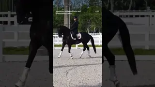 Rebalance, collect, power-up 💥 💪 🐎 Mynanke A (Hennessy x Ferro) and Amy Speck-Kern of Excel Dressage