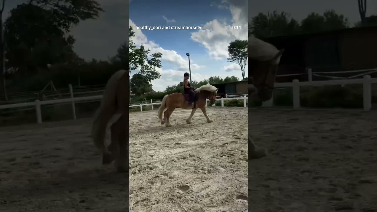 A horse doesn’t love you for what you have, what you wear, or who you are in the eyes of others. ❤️🐎