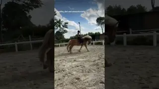 A horse doesn’t love you for what you have, what you wear, or who you are in the eyes of others. ❤️🐎