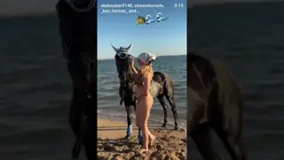 Let's Go 🌊🌊🌊🌊🐴