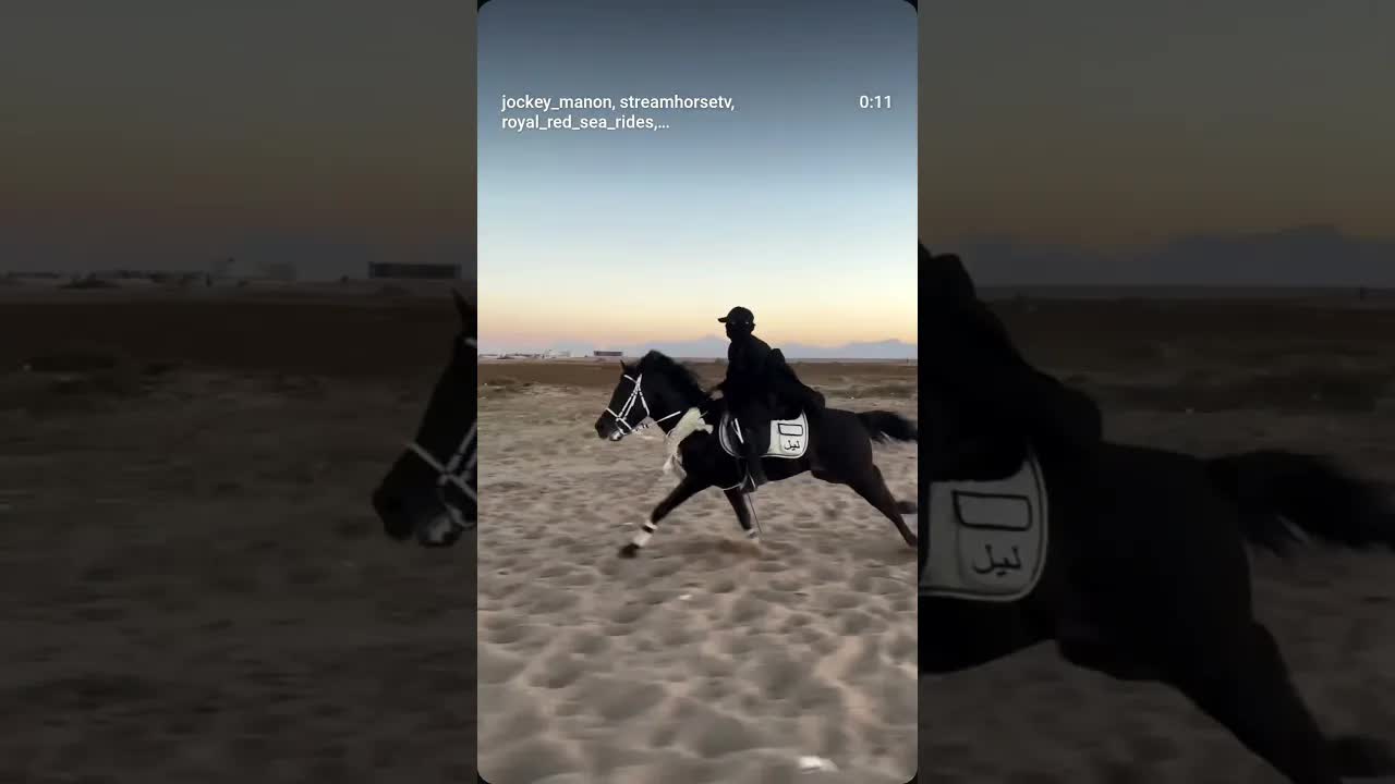 We don't chase after anyone… those who want us will find us. 🖤 Night 🪬