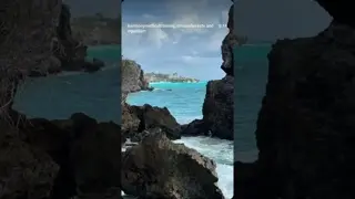 We interrupt our regularly scheduled programming to bring you a taste of riding in Barbados! 🇧🇧
