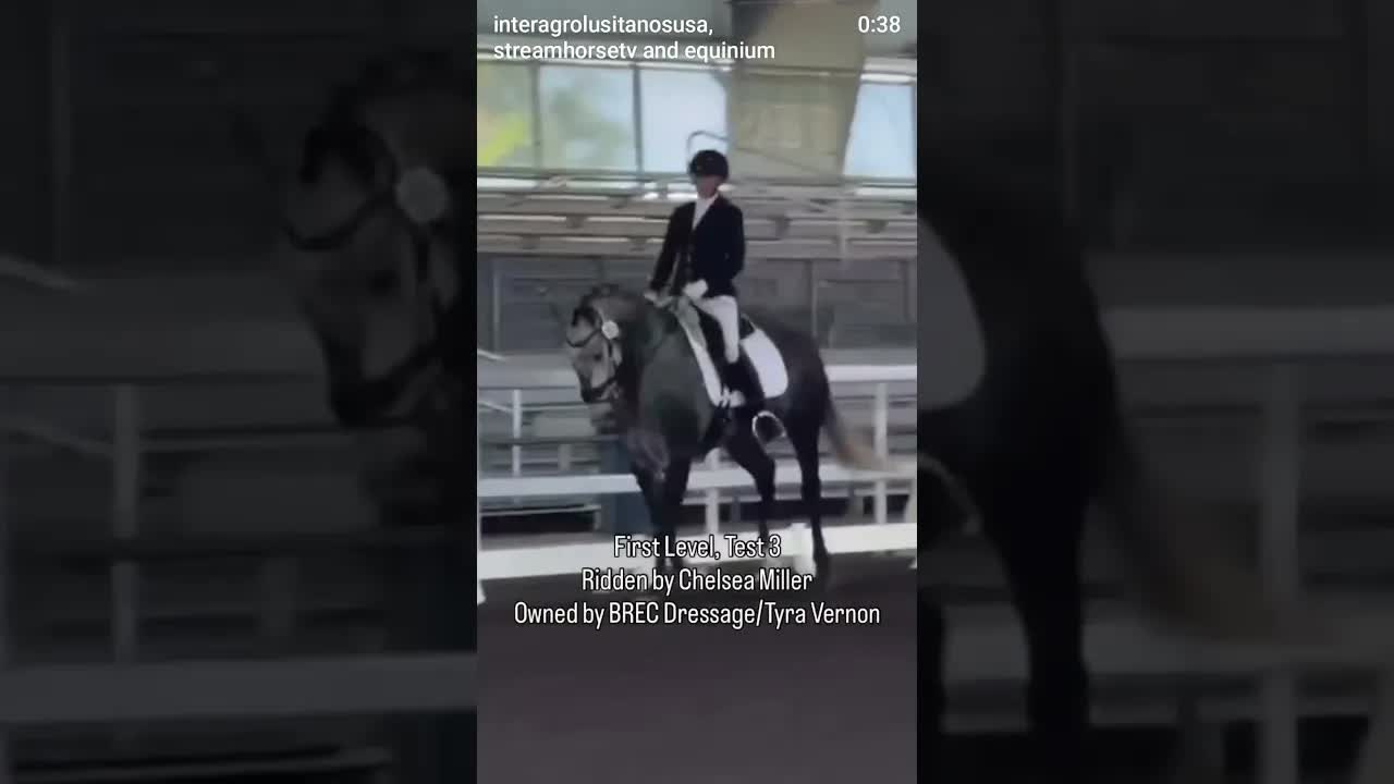 Join Sorrateiro Interagro and Chelsea Miller of BREC Dressage riding in their first US show 🏆🔝