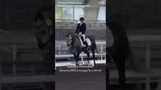 Join Sorrateiro Interagro and Chelsea Miller of BREC Dressage riding in their first US show 🏆🔝