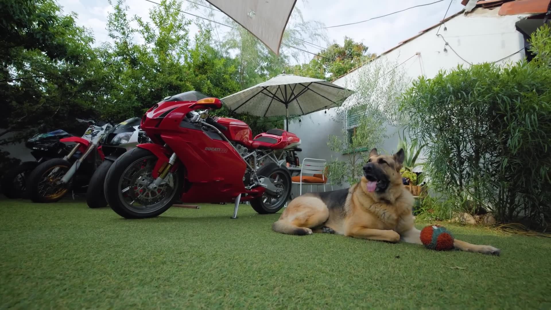 We showed how we picked our first real motorcycle
