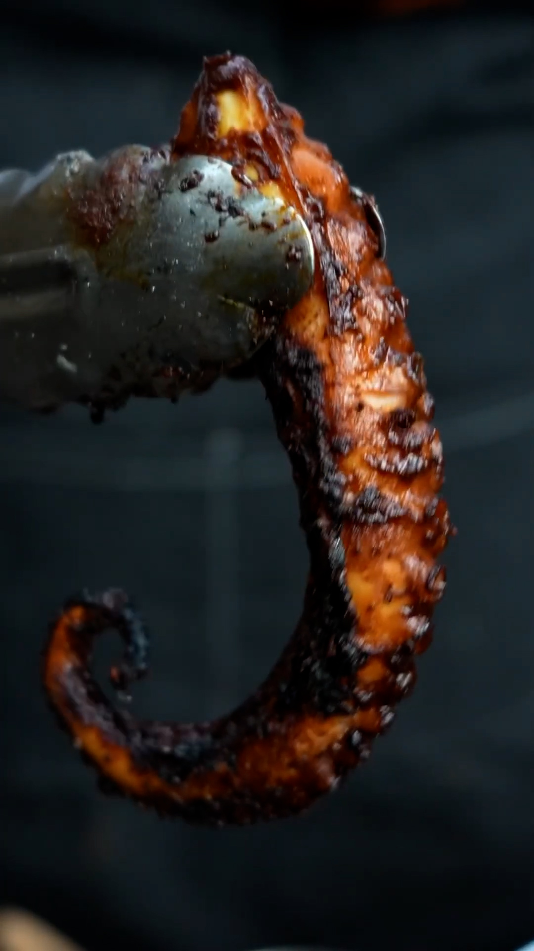 Grilled octopus with mole collaboration