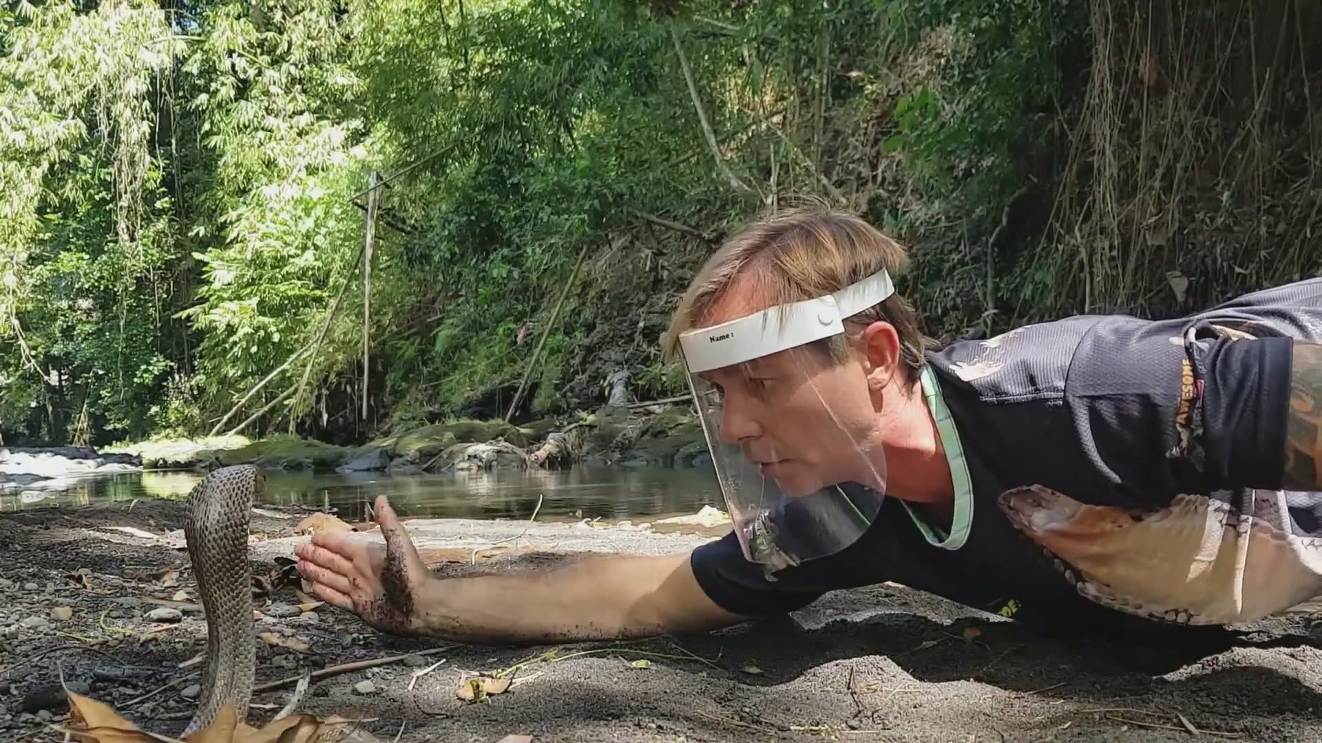 Top 10 deadly snakes