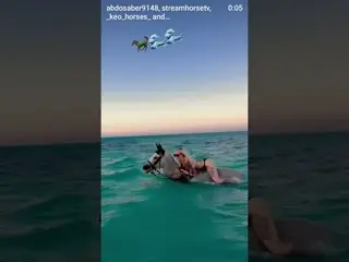 🐎🌊🌊🔥🔥