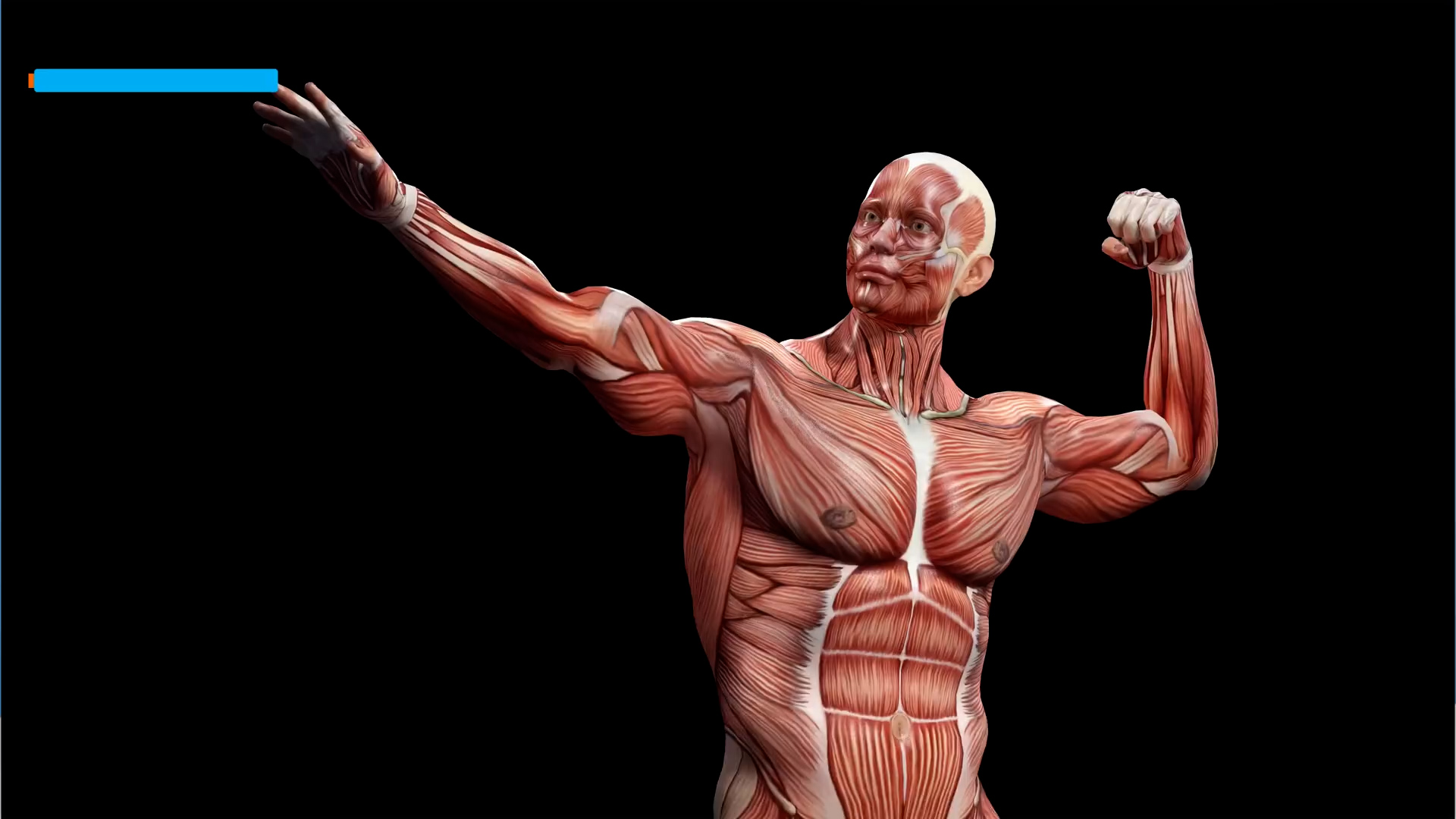 The muscles to train as you age mistake that could affect your long-term health