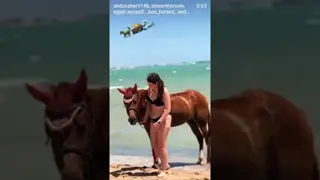 🐎🐎📸