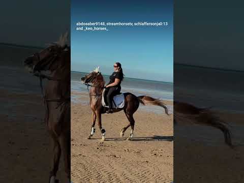🐎🐎 🤙🔥🔥🔥