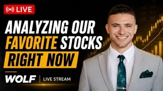 Our Favorite Stocks Right Now: Fundamental Deep Dive