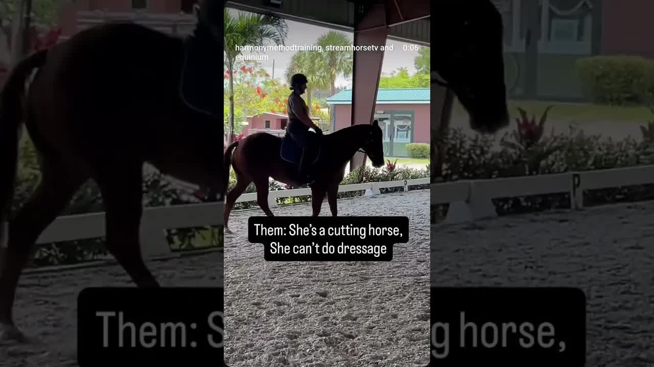 Any horse can do dressage! 🐎