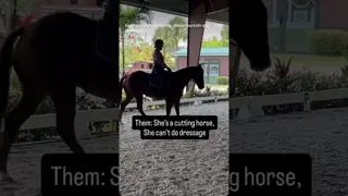 Any horse can do dressage! 🐎