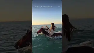 Habibi come to Horseghada 🐎 Horse Riding in Hurghada - Beach & Desert Adventure 🌅