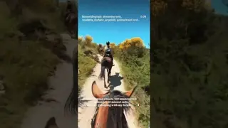 1,000 unread emails, 100 unread messages, 10 missed calls. Me in Italy galloping with my besties 🐎🇮🇹