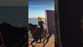 HABIBI COME TO HORSEGHADA 🐎 Horse Riding in Hurghada, Egypt 🇪🇬 | Beach & Desert Adventure 🌅