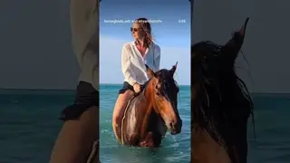 HABIBI COME TO HORSEGHADA 🐎 Horse Riding in Hurghada, Egypt 🇪🇬 | Beach & Desert Adventure 🌅