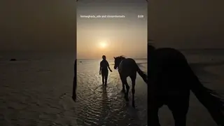HABIBI COME TO HORSEGHADA 🐎 Horse Riding in Hurghada, Egypt 🇪🇬 | Beach & Desert Adventure 🌅