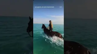 HABIBI COME TO HORSEGHADA 🐎 Horse Riding in Hurghada, Egypt 🇪🇬 | Beach & Desert Adventure 🌅