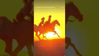 HABIBI COME TO HORSEGHADA 🐎 Horse Riding in Hurghada, Egypt 🇪🇬 | Beach & Desert Adventure 🌅
