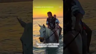 HABIBI COME TO HORSEGHADA 🐎 Horse Riding in Hurghada, Egypt 🇪🇬 | Beach & Desert Adventure 🌅