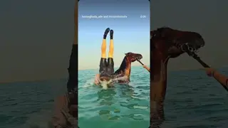 HABIBI COME TO HORSEGHADA 🐎 Horse Riding in Hurghada, Egypt 🇪🇬 | Beach & Desert Adventure 🌅