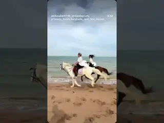 🐎🐎