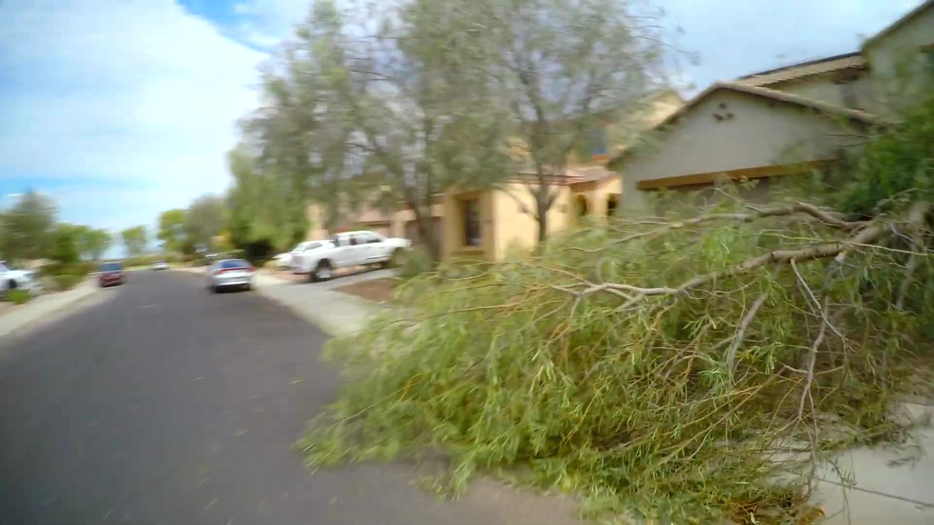 A monsoon tore through my Arizona neighborhood overnight