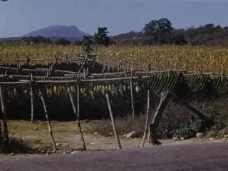 [Mexico 1974, silent]