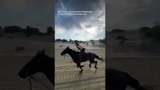 🌊🤎