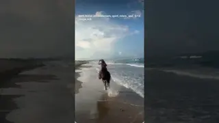 🧡😍☀️🌊
