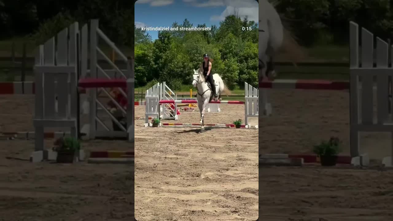 Flying horses cause they’re the closest thing to flying dragons🐉 ✨