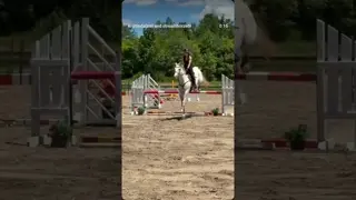 Flying horses cause they’re the closest thing to flying dragons🐉 ✨