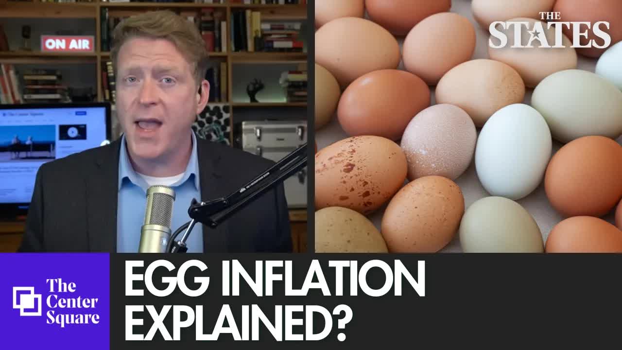 Egg Producers Settle DOJ Lawsuit for Price Fixing