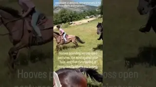 🐎 A rare, authentic and unforgettable experience.
