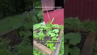 A seed doesn’t look like much when it goes into the ground...