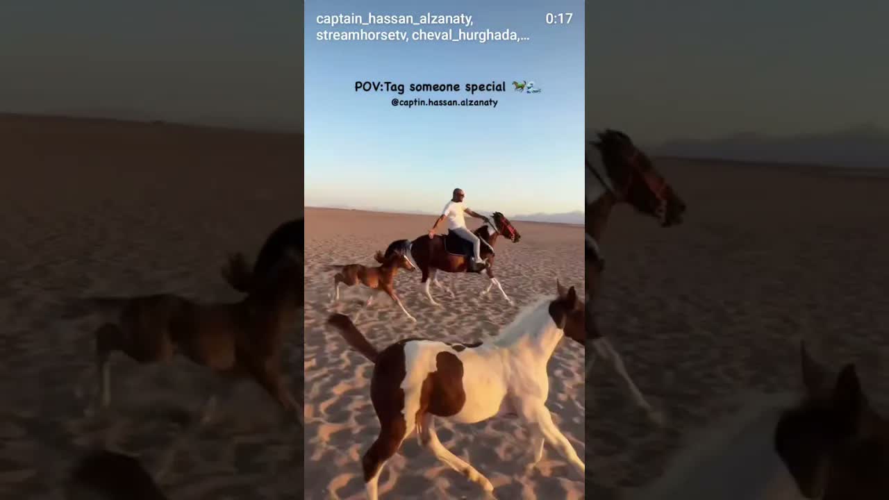Tag someone special 🐎🌊
