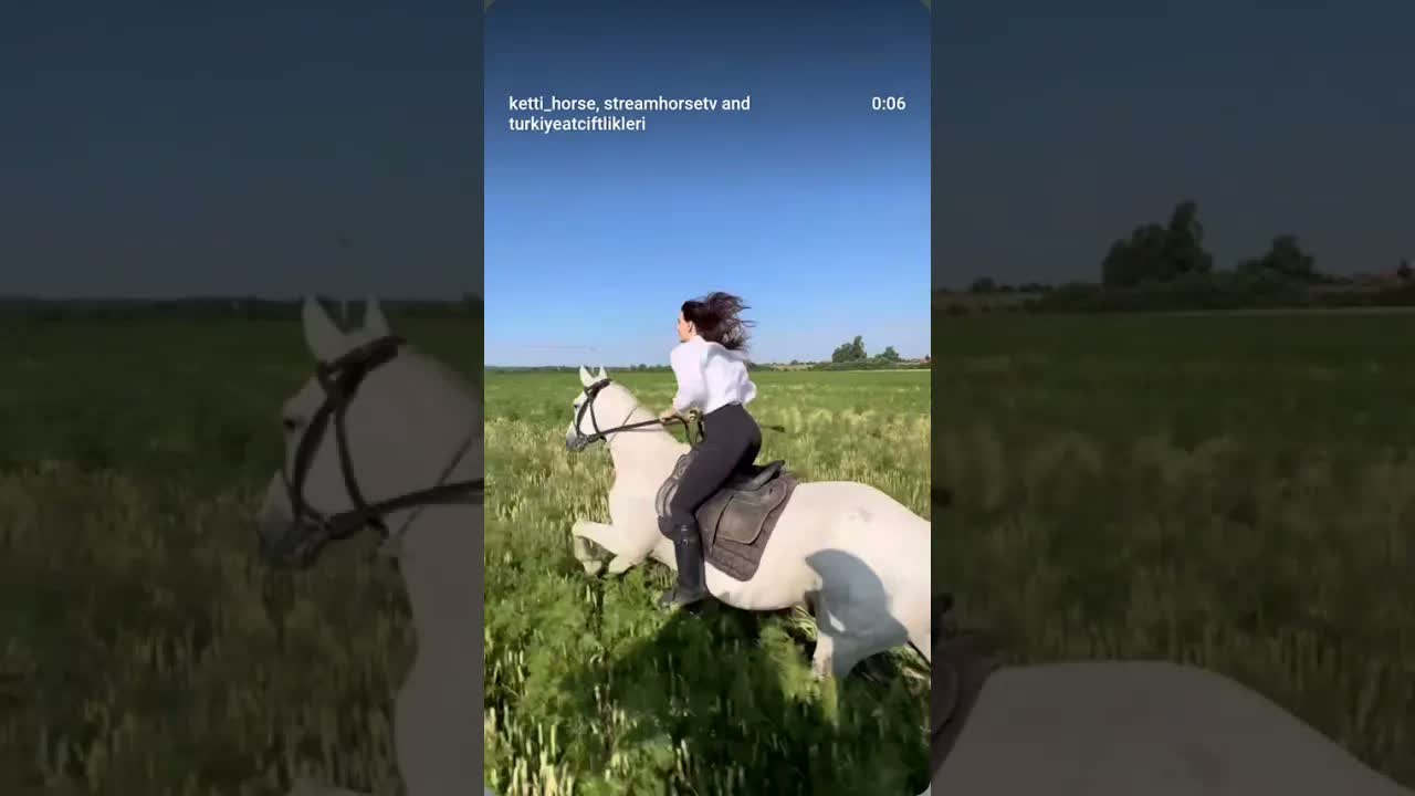 🤍🐎 Fedya