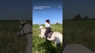 🤍🐎 Fedya