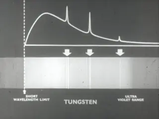 Principles of X-rays (1960)